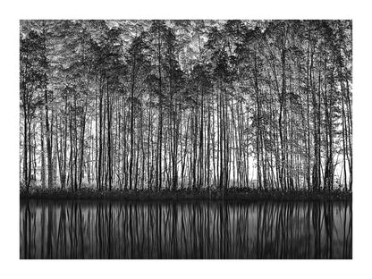 variant-30x40_with-margin
