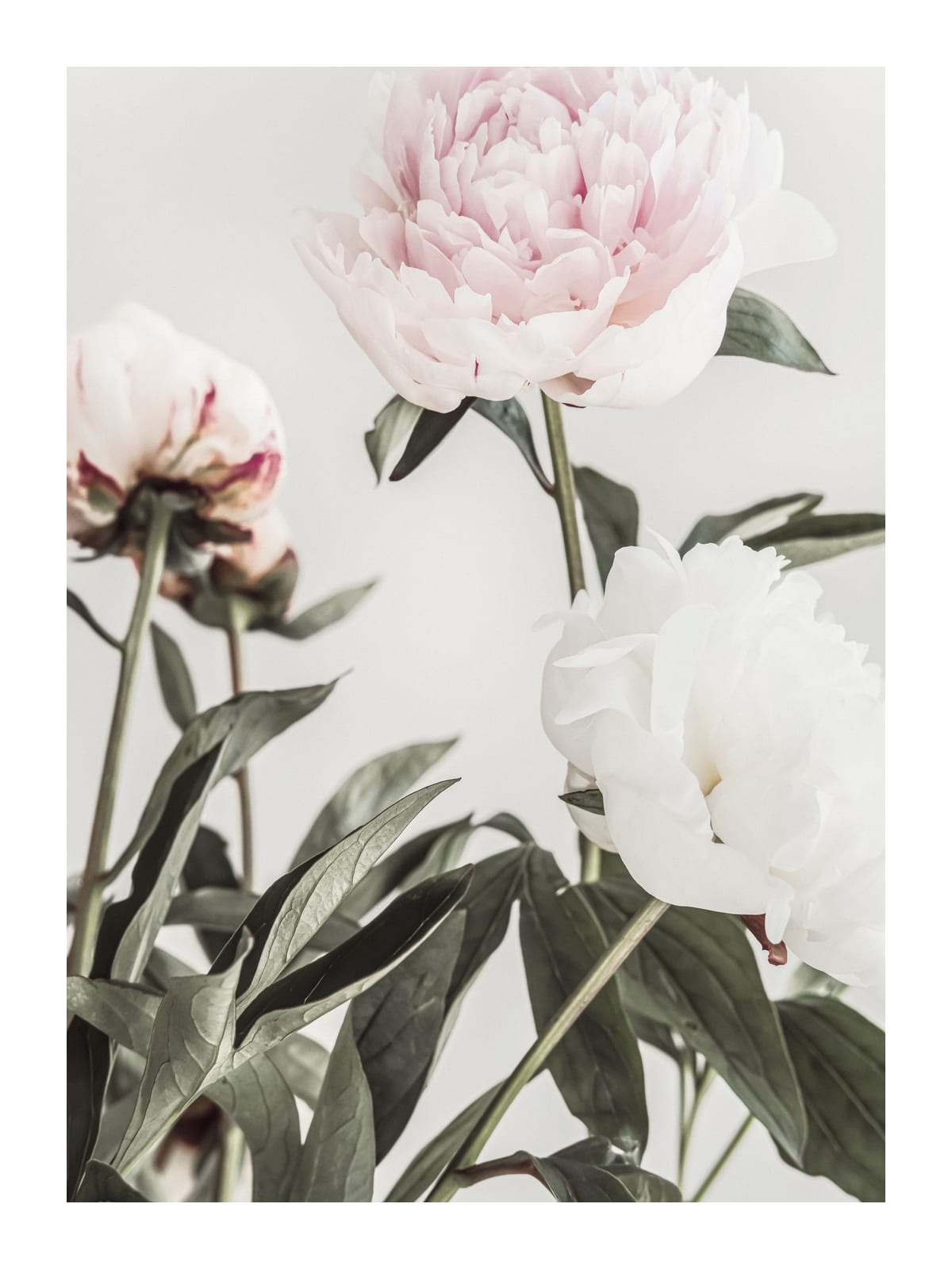 variant-30x40_with-margin