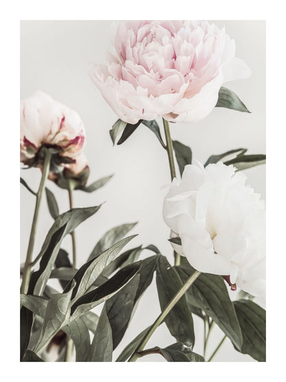 variant-30x40_with-margin