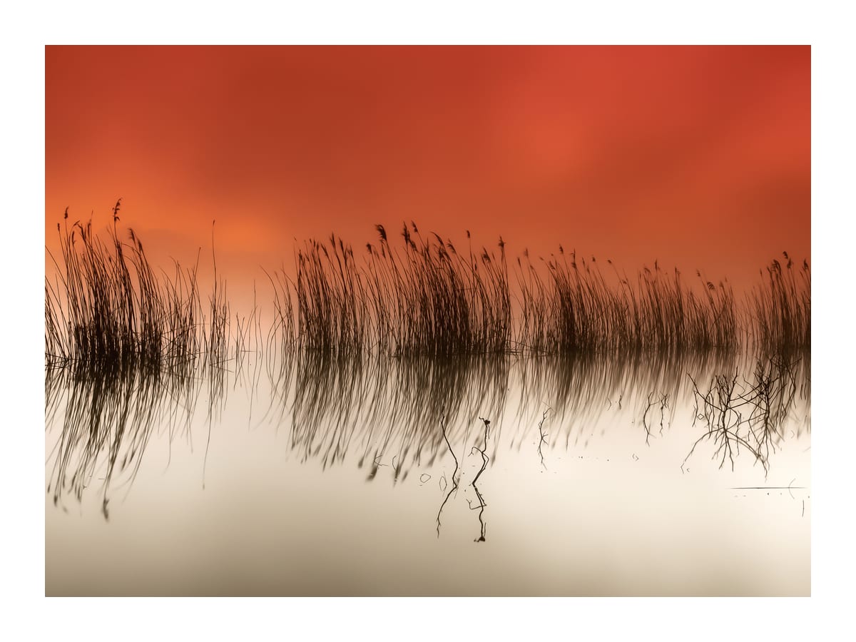 variant-30x40_with-margin