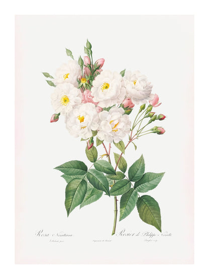 variant-30x40_with-margin