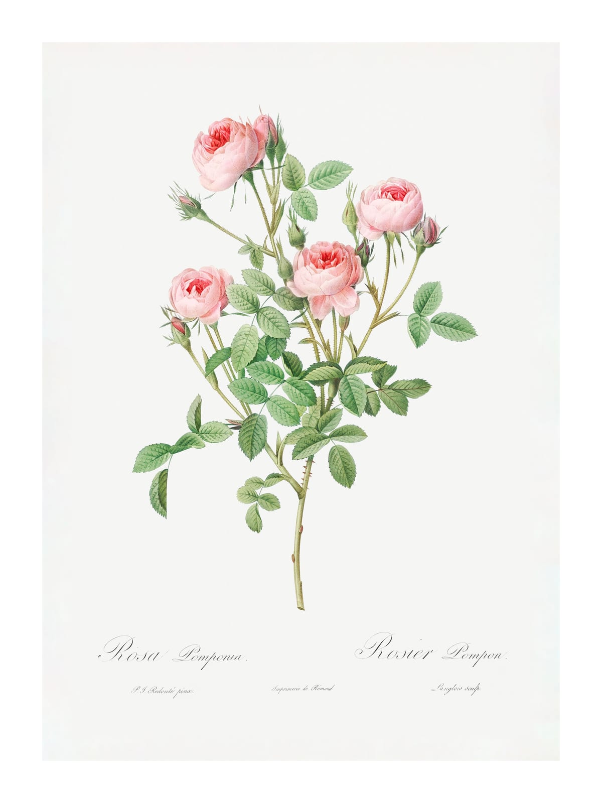 variant-30x40_with-margin