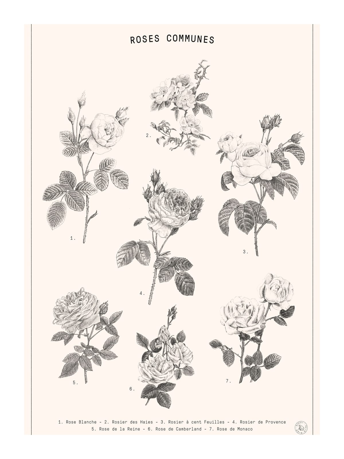 variant-30x40_with-margin