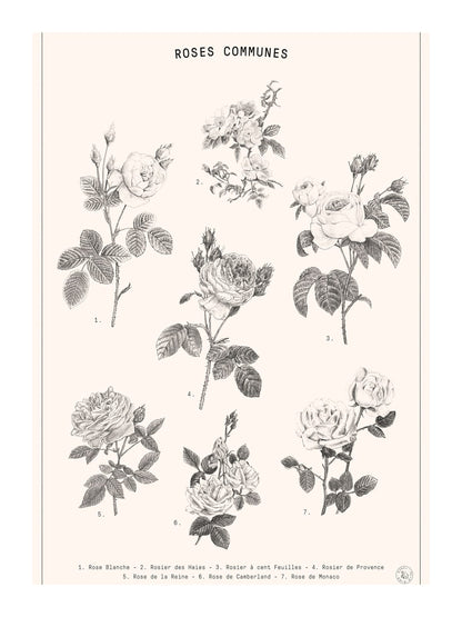 variant-30x40_with-margin