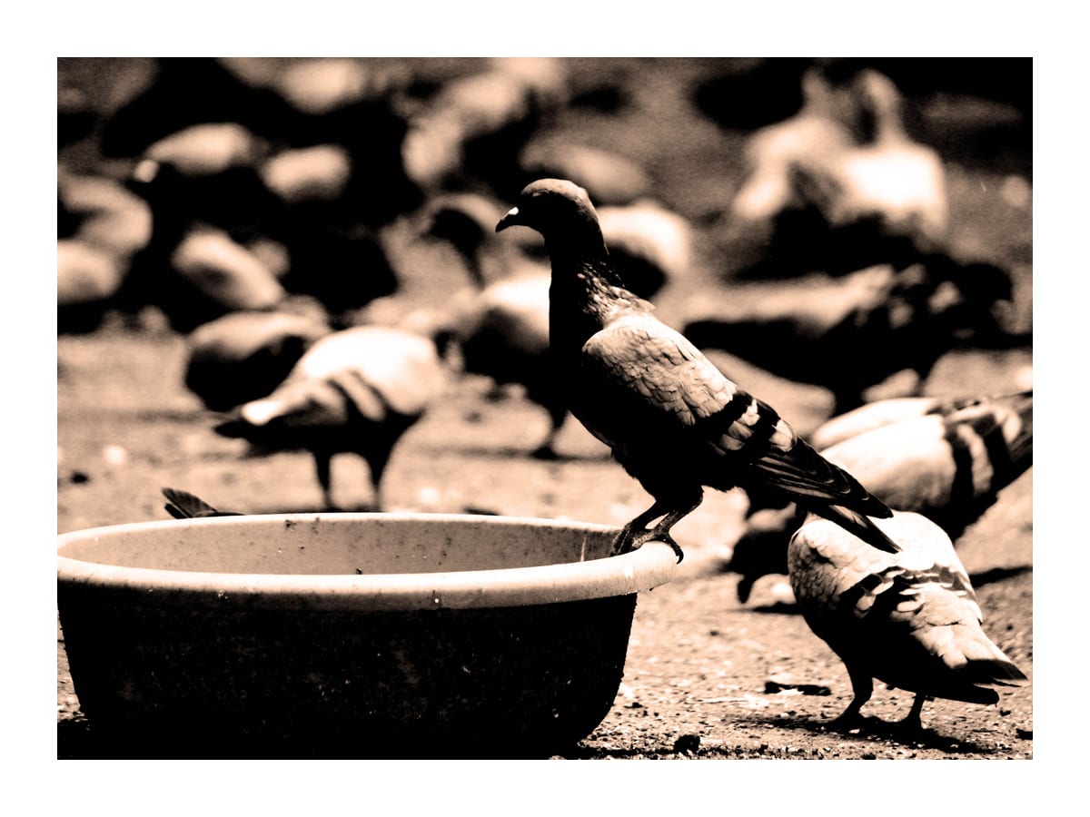 variant-30x40_with-margin