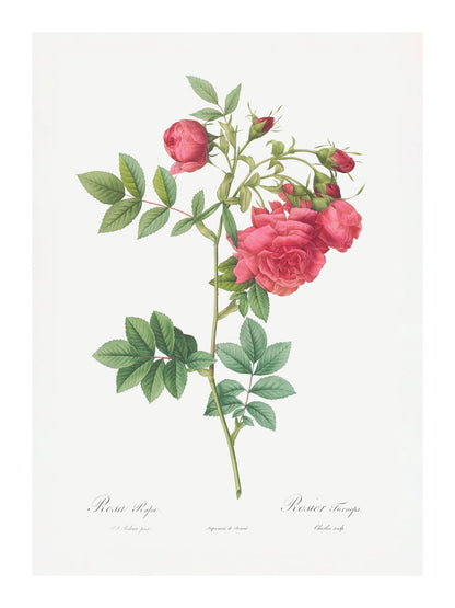 variant-30x40_with-margin