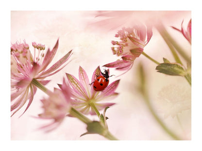 variant-30x40_with-margin