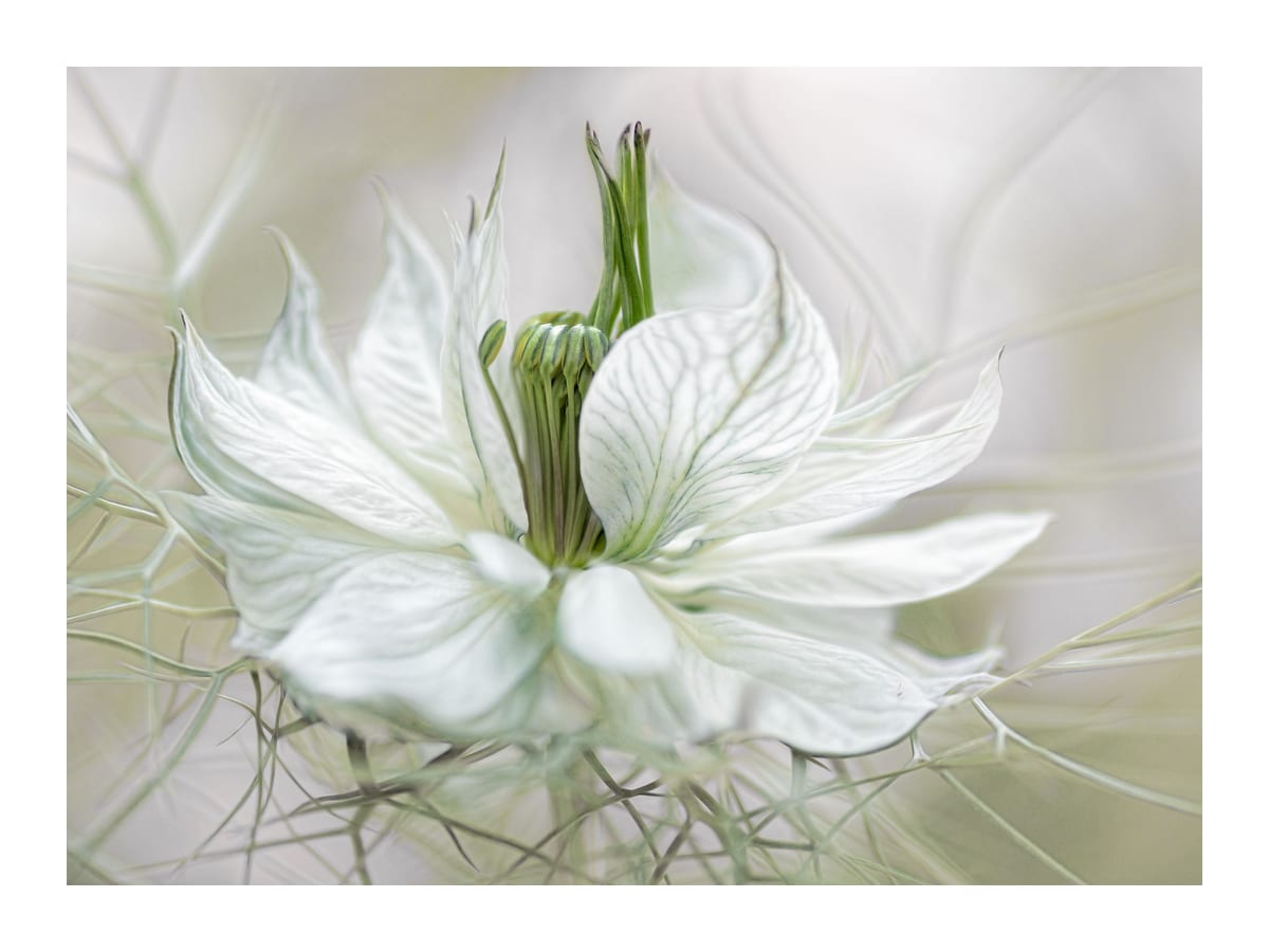 variant-30x40_with-margin