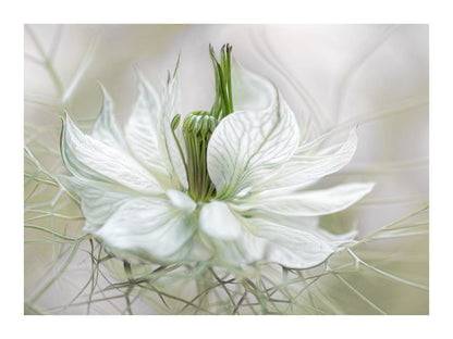 variant-30x40_with-margin