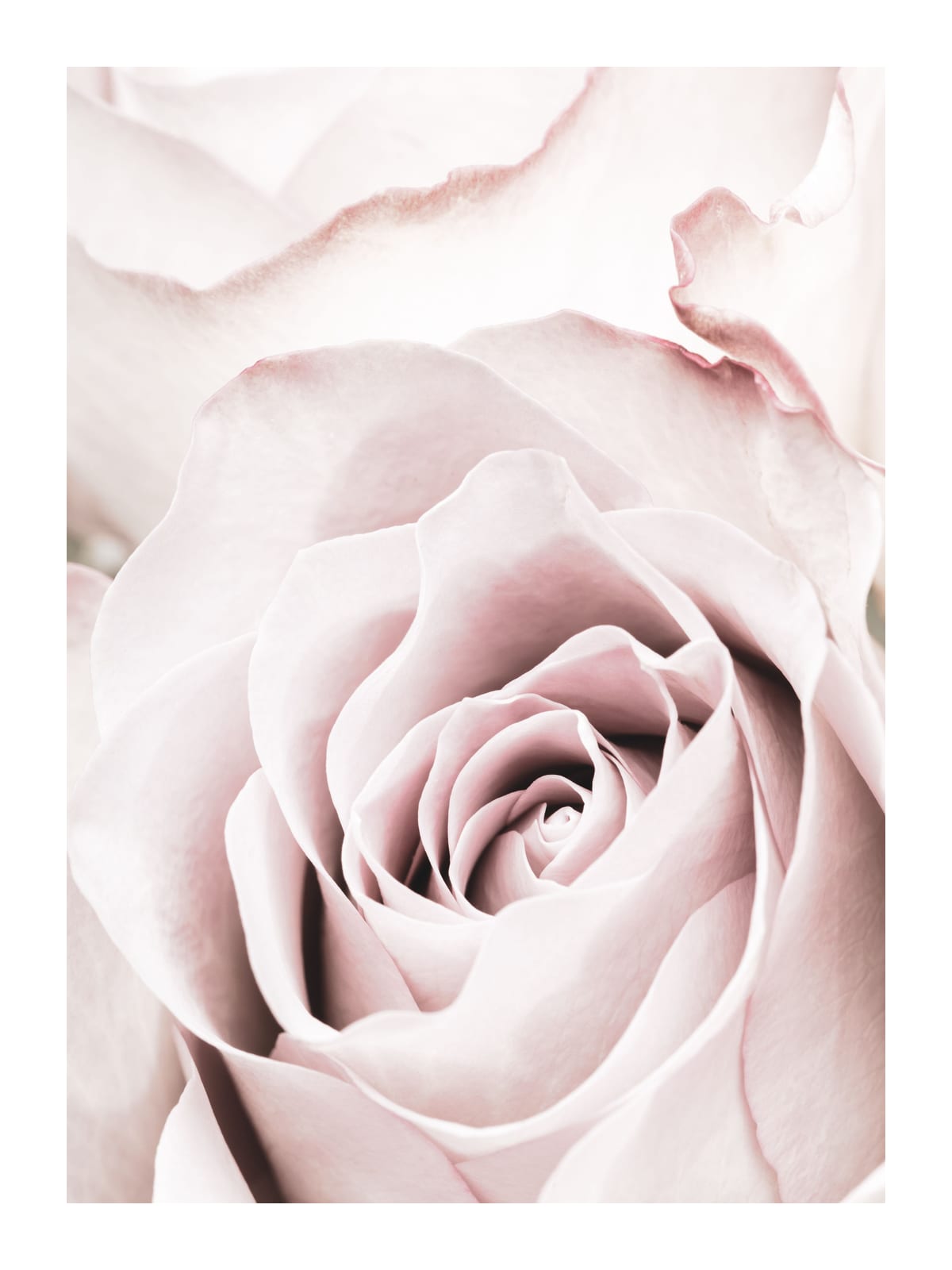 variant-30x40_with-margin