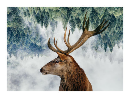 variant-30x40_with-margin