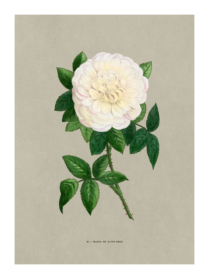 variant-30x40_with-margin
