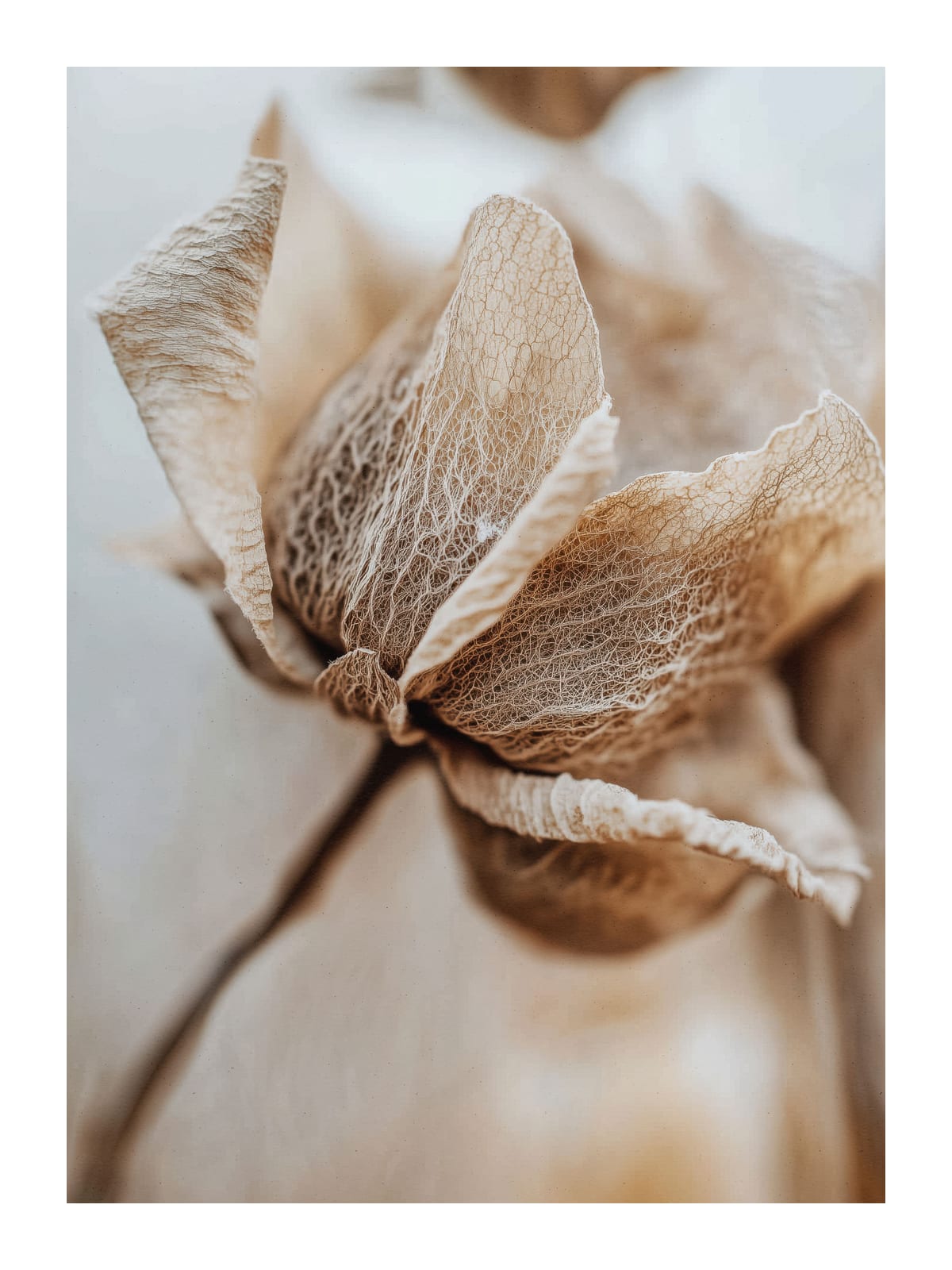 variant-30x40_with-margin