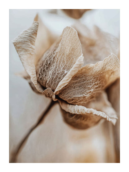 variant-30x40_with-margin
