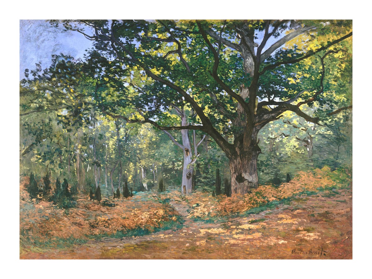 variant-30x40_with-margin