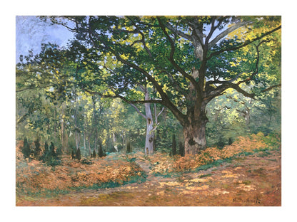 variant-30x40_with-margin