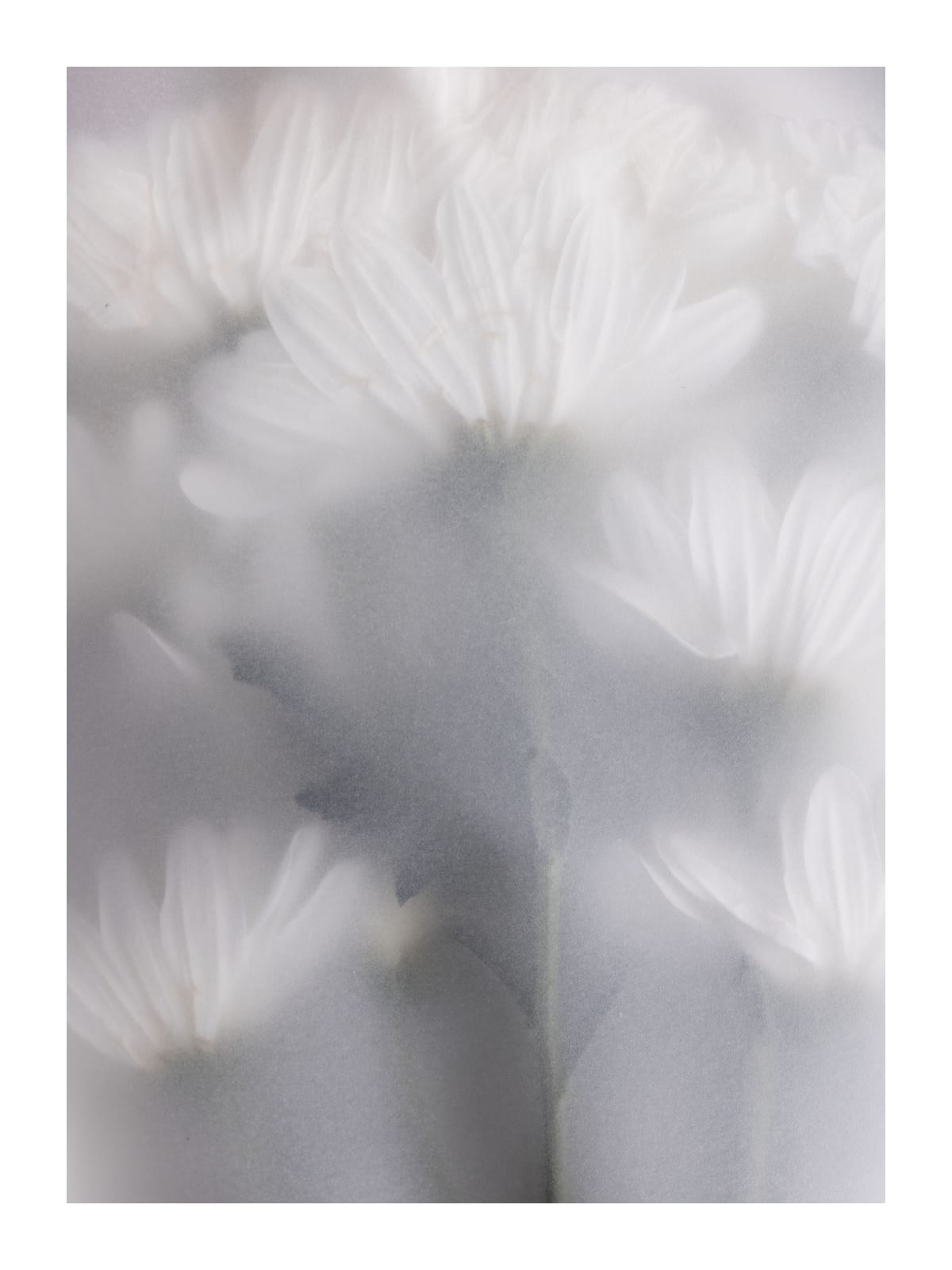 variant-30x40_with-margin
