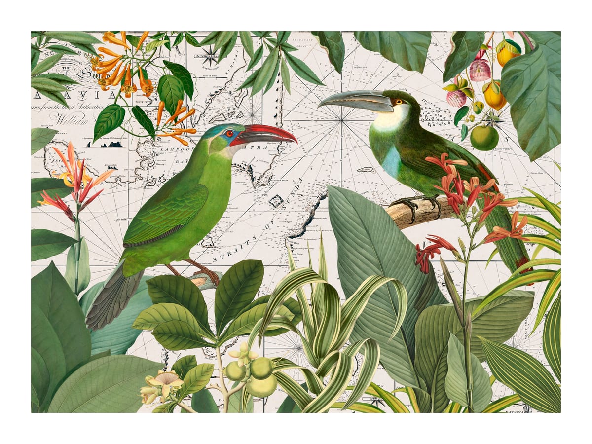 variant-30x40_with-margin