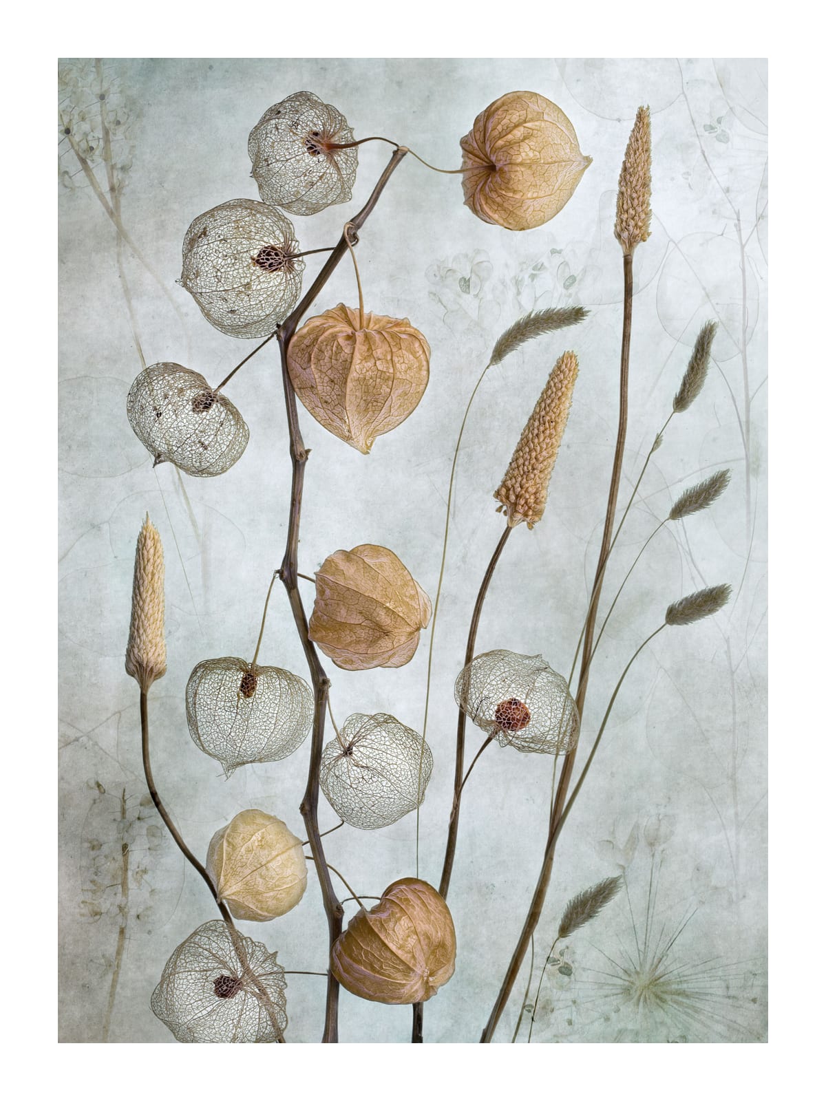 variant-30x40_with-margin