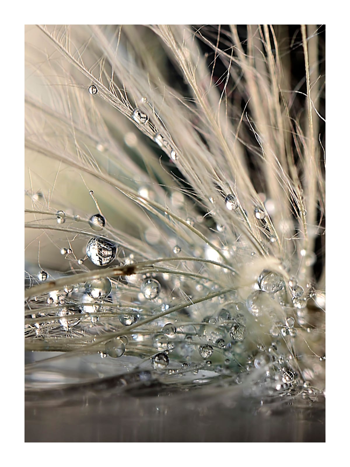variant-30x40_with-margin