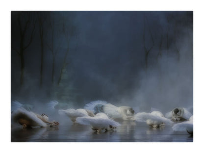 variant-30x40_with-margin