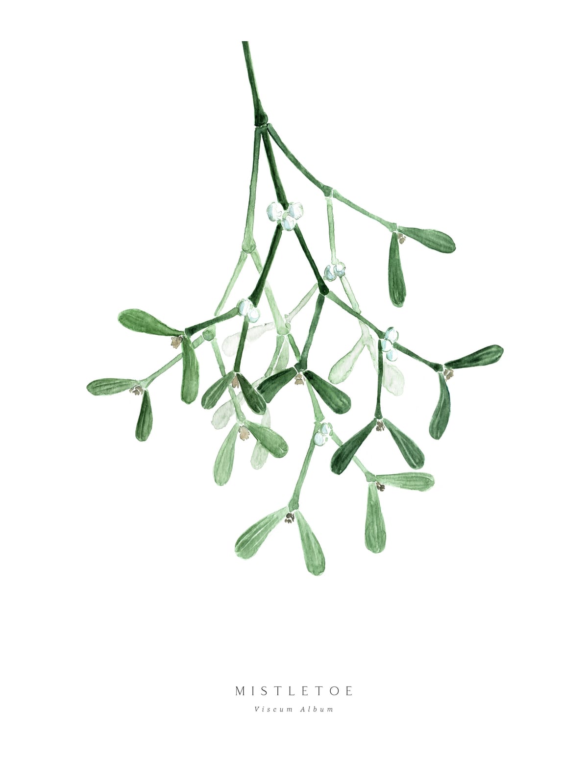 variant-30x40_with-margin