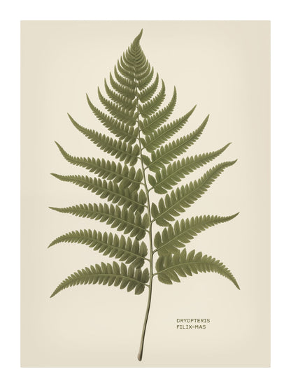 variant-30x40_with-margin