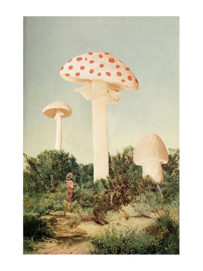 variant-30x40_with-margin
