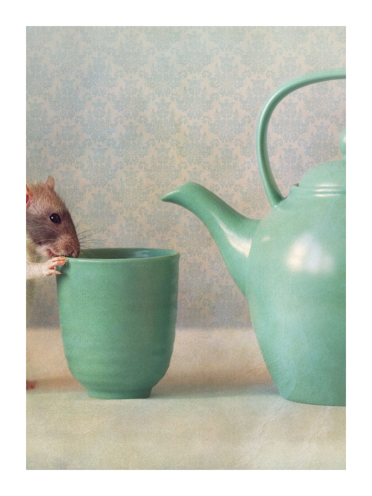 variant-30x40_with-margin