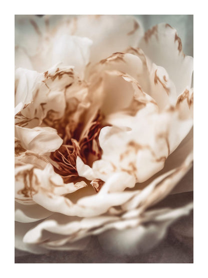 variant-30x40_with-margin