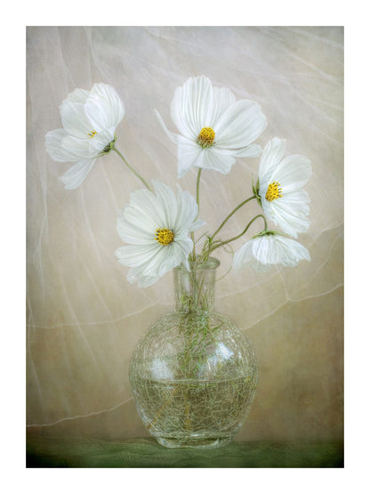 variant-30x40_with-margin