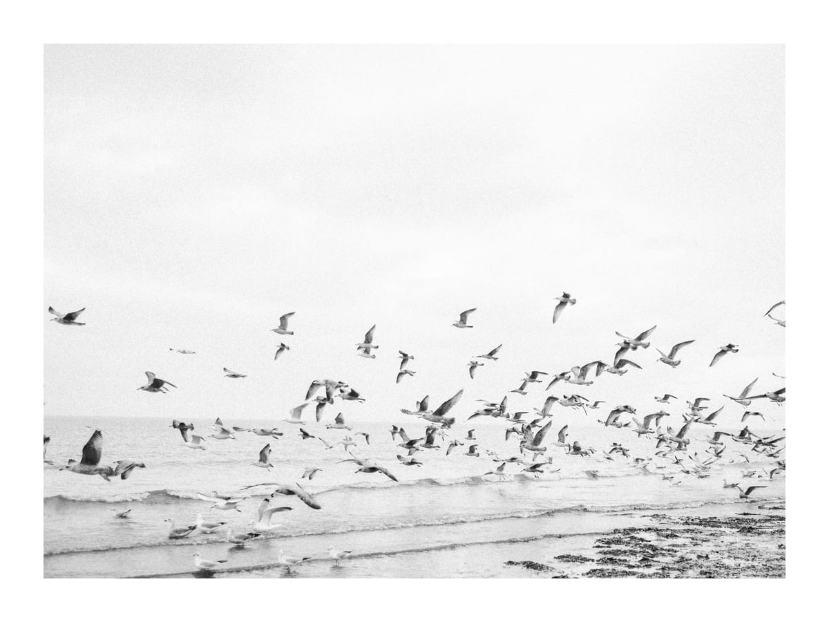 variant-30x40_with-margin