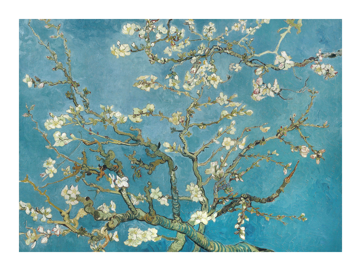 variant-30x40_with-margin