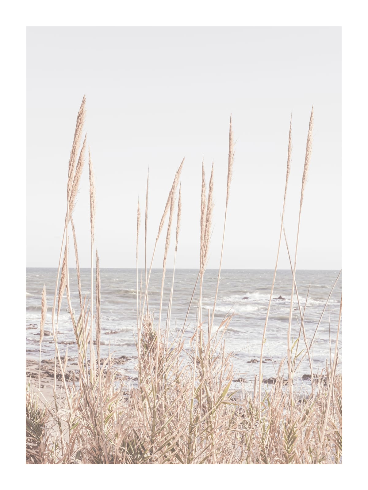 variant-30x40_with-margin