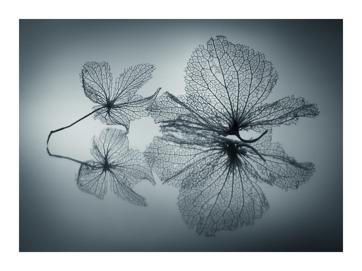 variant-30x40_with-margin