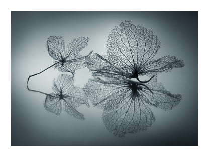 variant-30x40_with-margin