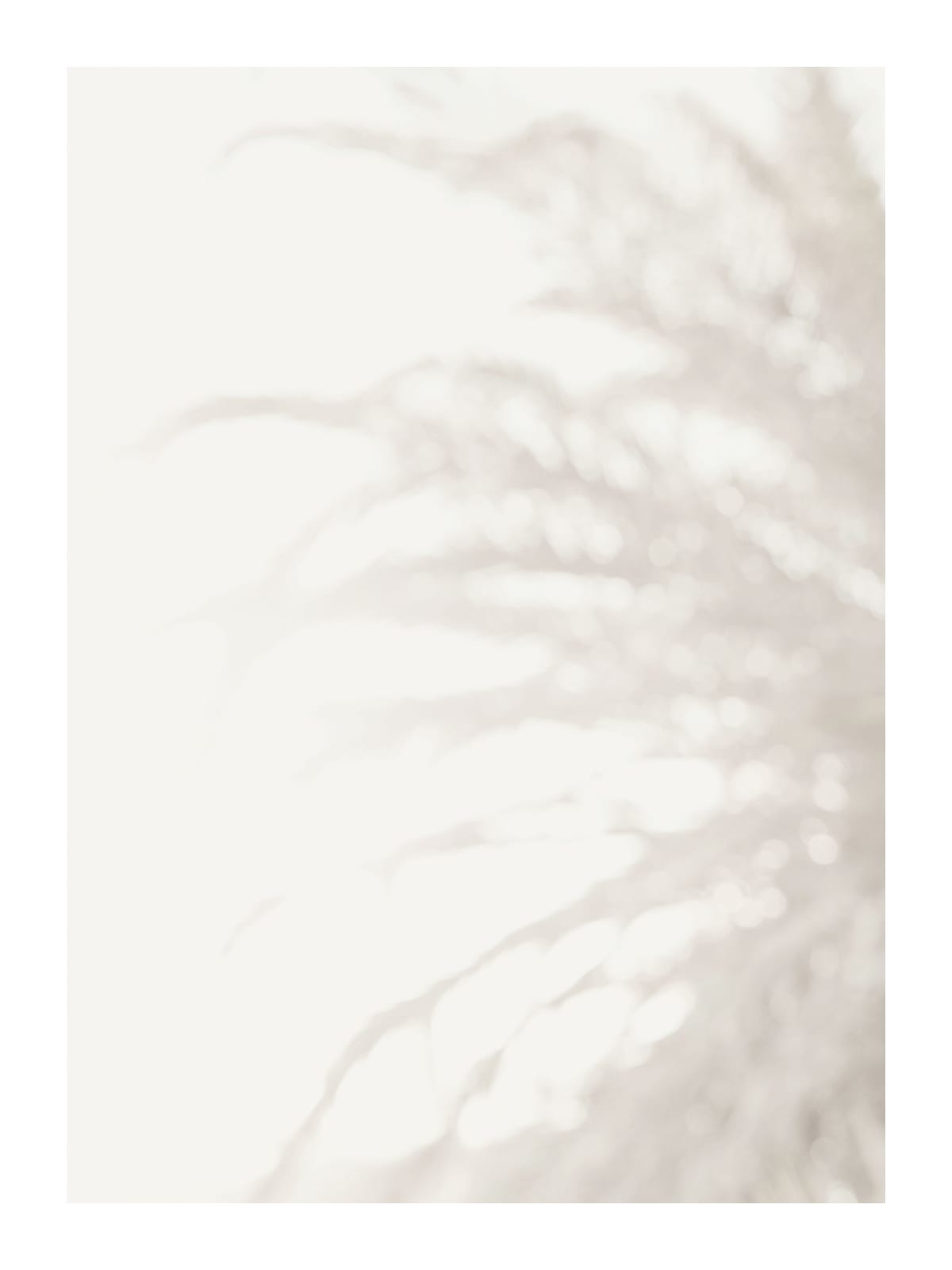 variant-30x40_with-margin