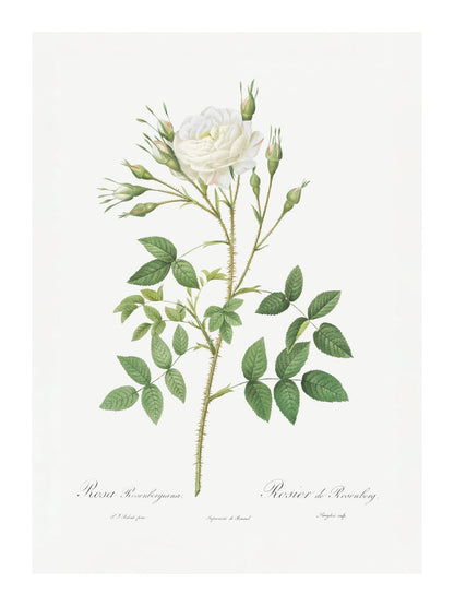 variant-30x40_with-margin