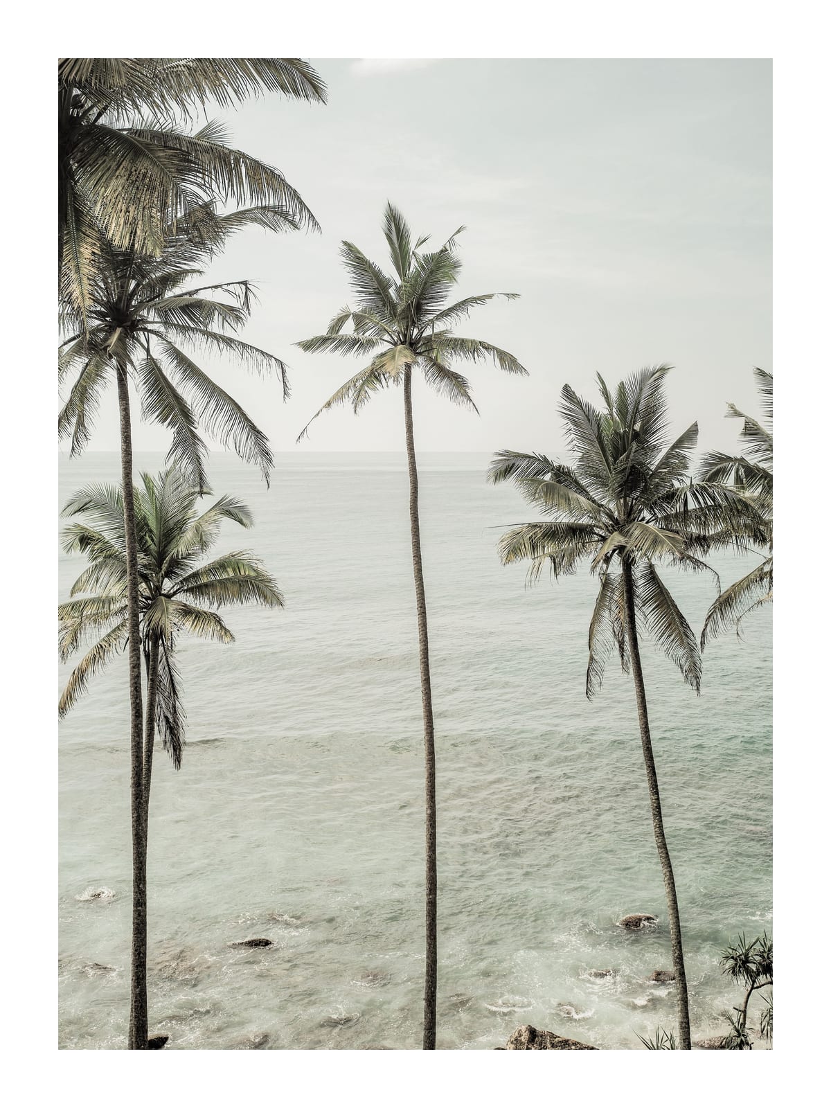 variant-30x40_with-margin