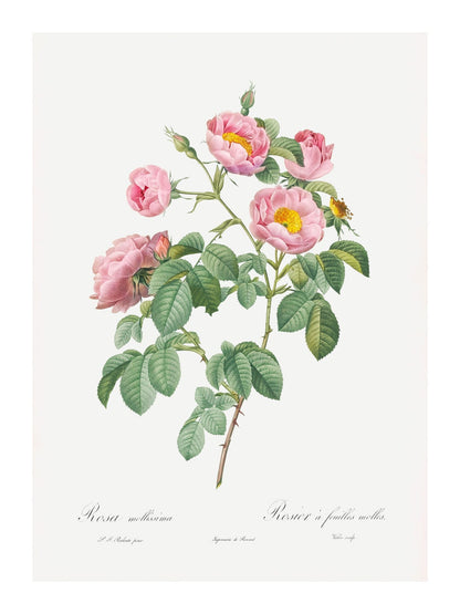 variant-30x40_with-margin