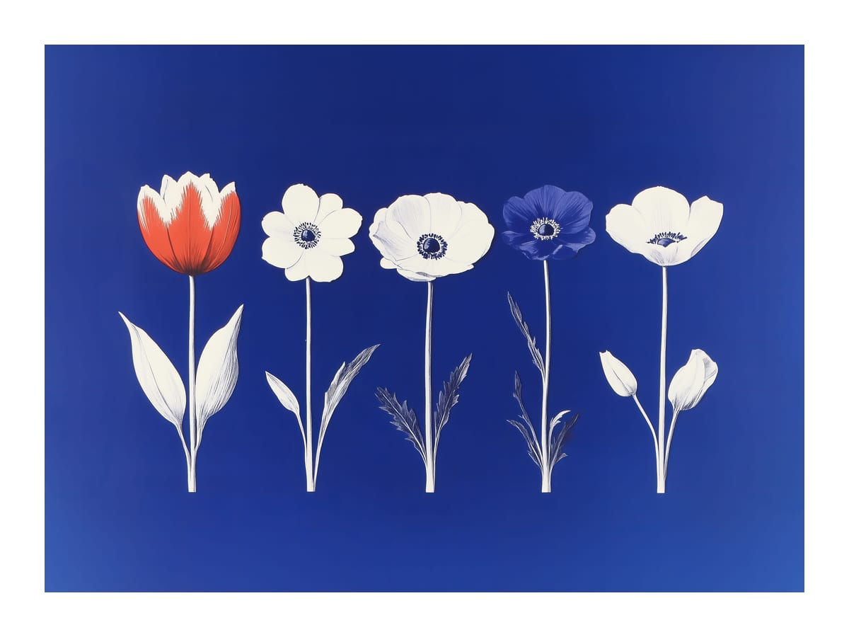 variant-30x40_with-margin