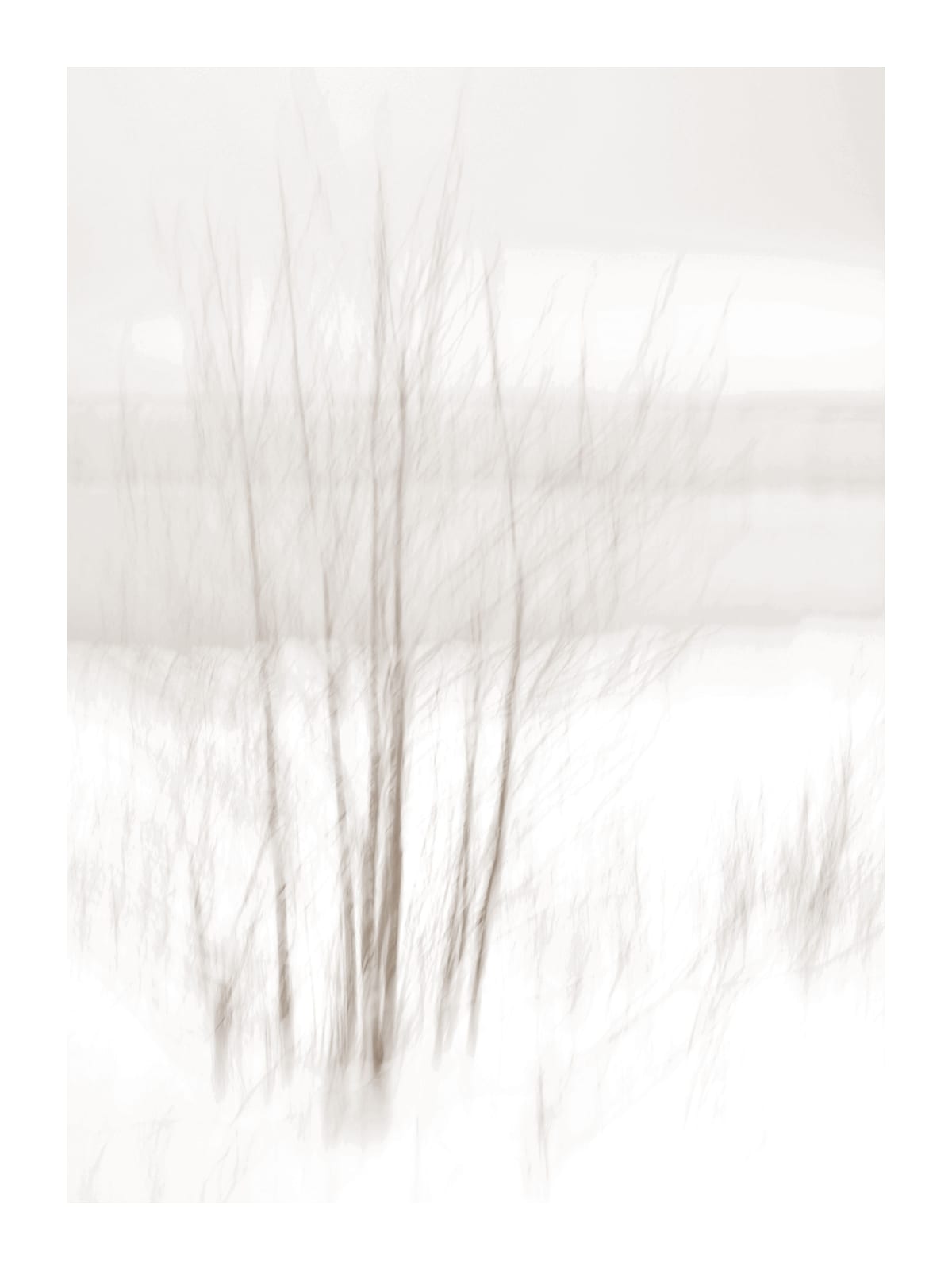 variant-30x40_with-margin