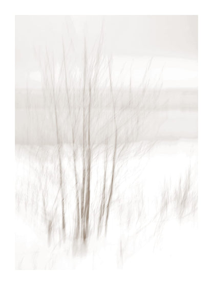 variant-30x40_with-margin