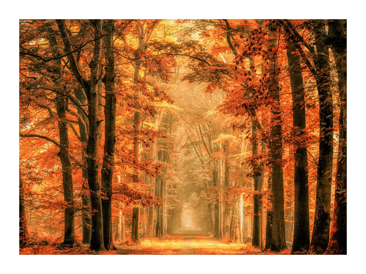 variant-30x40_with-margin