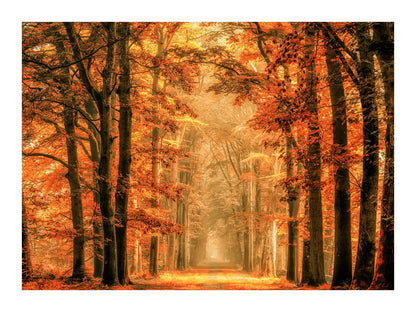 variant-30x40_with-margin