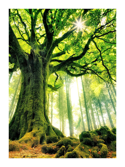 variant-30x40_with-margin