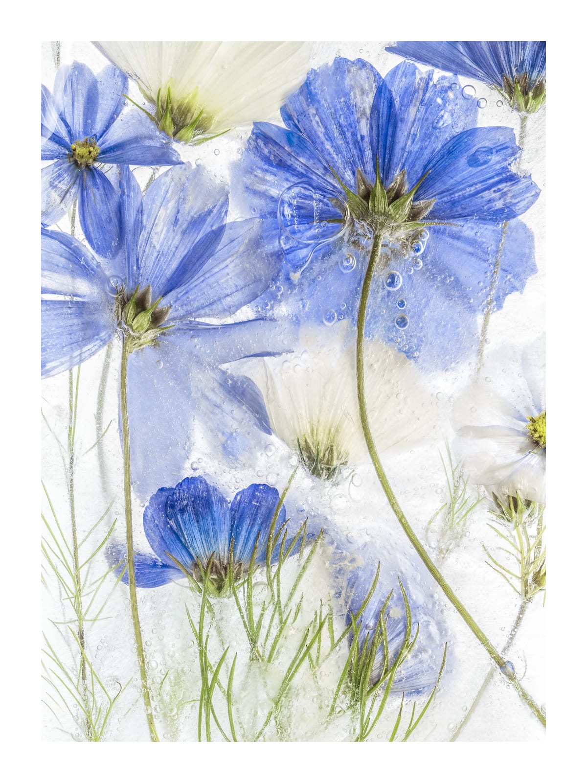 variant-30x40_with-margin