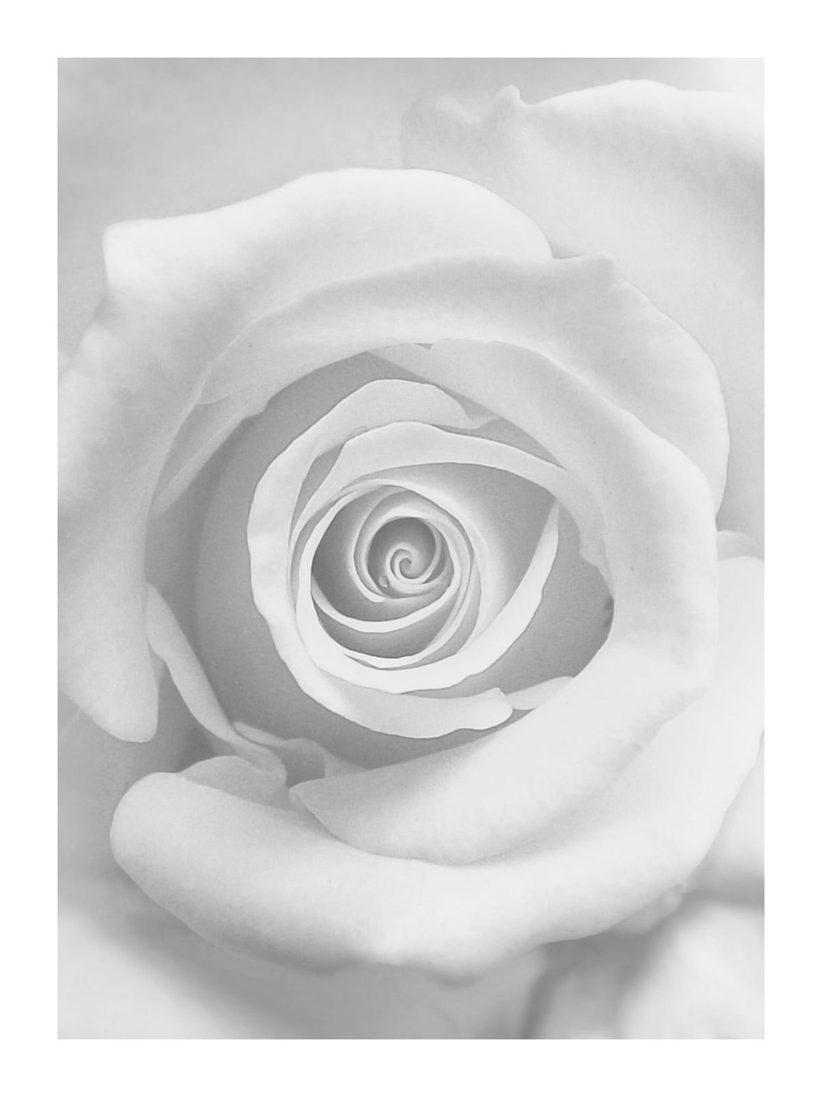 variant-30x40_with-margin
