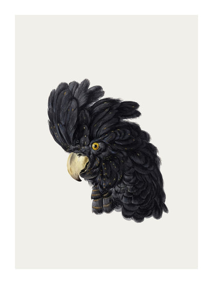 variant-30x40_with-margin
