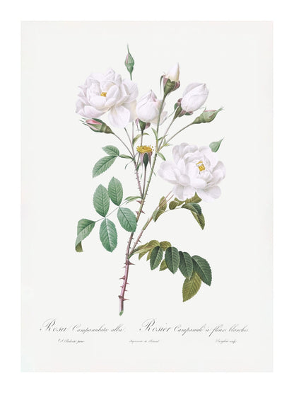 variant-30x40_with-margin